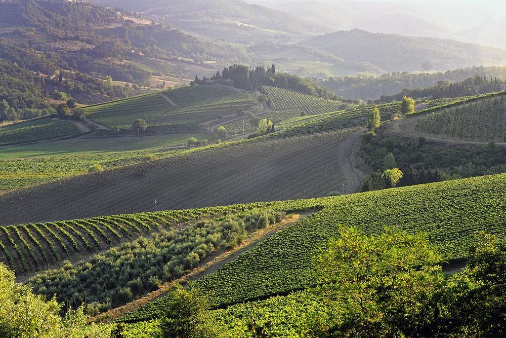 Bed and Breakfast Fattoria Poggerino Рада ин Шанти Номер фото