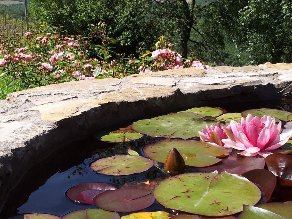 Bed and Breakfast Fattoria Poggerino Рада ин Шанти Номер фото
